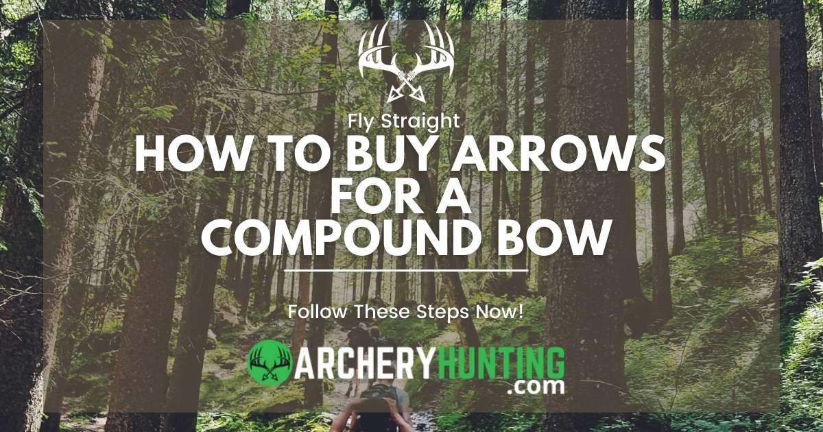 How to Buy Arrows for a Compound Bow (The Right Way)