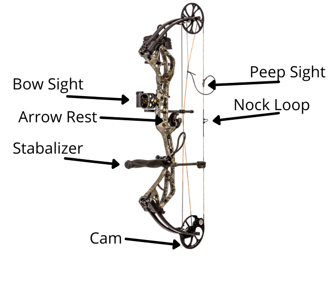 Elements of a Compound Bow