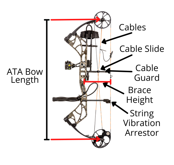 Specifications of a Compound Bow e1645041595164