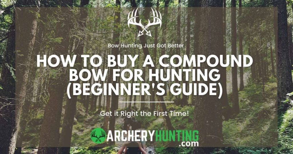 How to Buy a Compound Bow