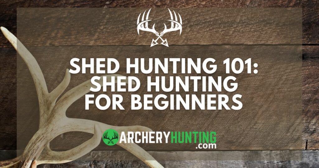 Learn shed hunting 101. See what you need to do if learning shed hunting for beginners.