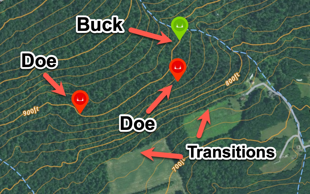 How to Find Buck Bedding Areas Using Maps and Apps