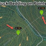 How to find buck bedding using maps and apps.