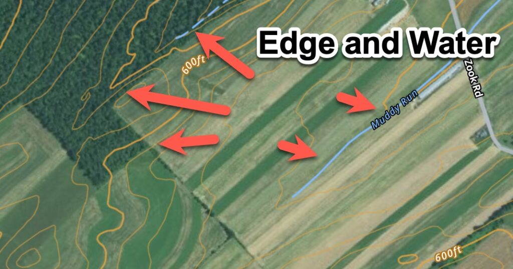 Edge and transition zones near water and field edges.