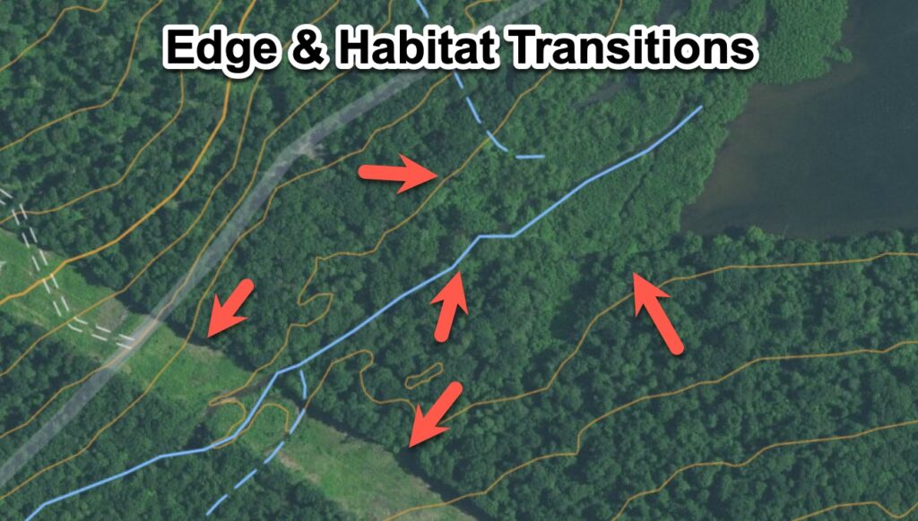 Edge and Habitat transition areas near water sources with thick vegetation.