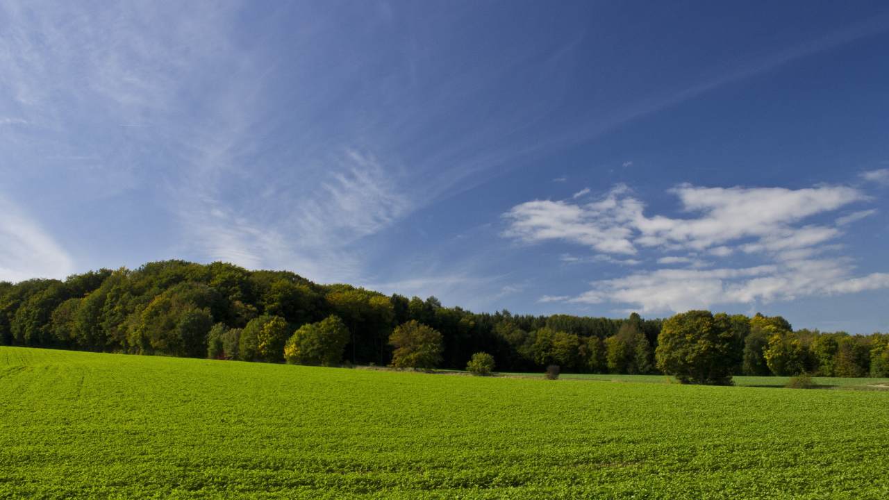 understanding-thermals-for-deer-hunting-how-it-works