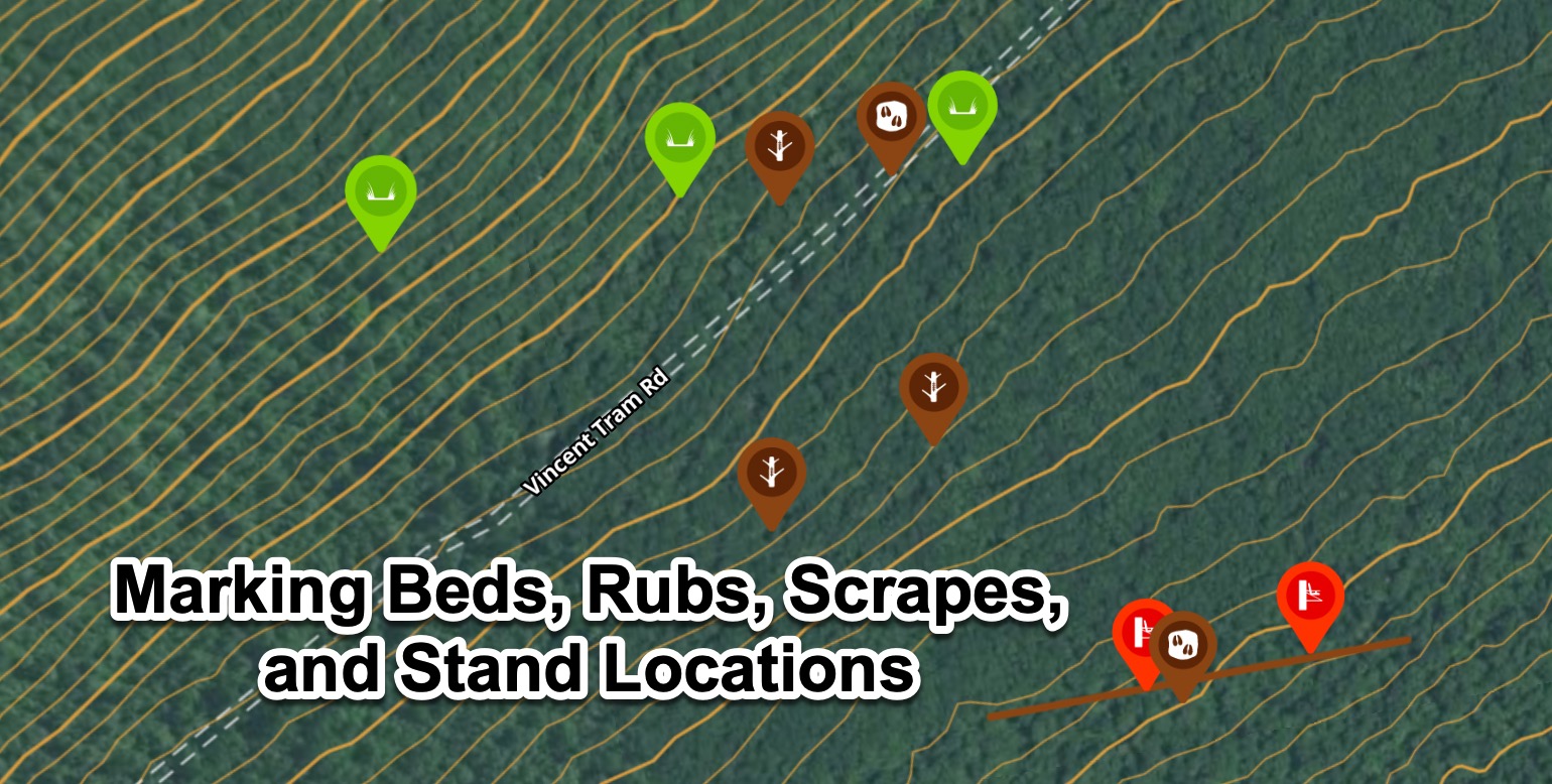 How to Find Buck Bedding Areas Using Maps and Apps