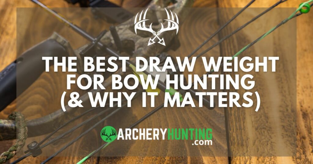 The best draw weight for bow hunting and why it matters