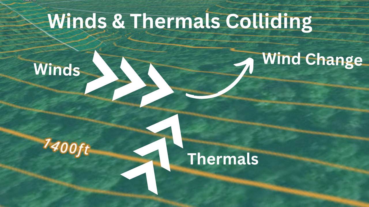 Understanding Thermals For Deer Hunting How It Works