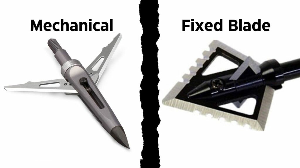 Fixed blades vs Mechanical Broadheads