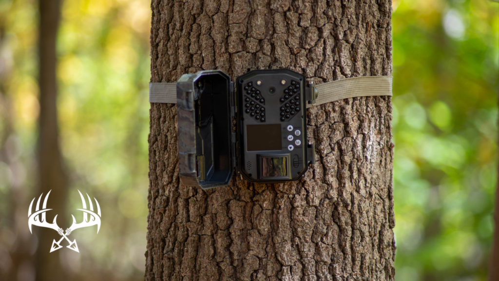 Trail camera features and options you should choose when selecting a camera.