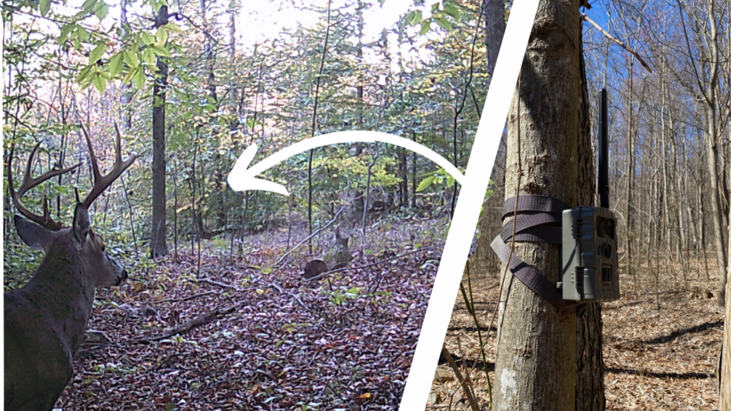Learn to scout like a pro with these advanced trail camera tactics for bow hunters.