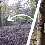 Learn to scout like a pro with these advanced trail camera tactics for bow hunters.