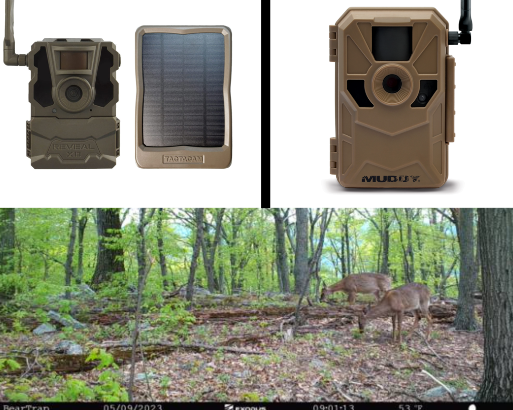 Using cellular trail cameras for scouting deer for bow hunting.