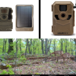 Using cellular trail cameras for scouting deer for bow hunting.